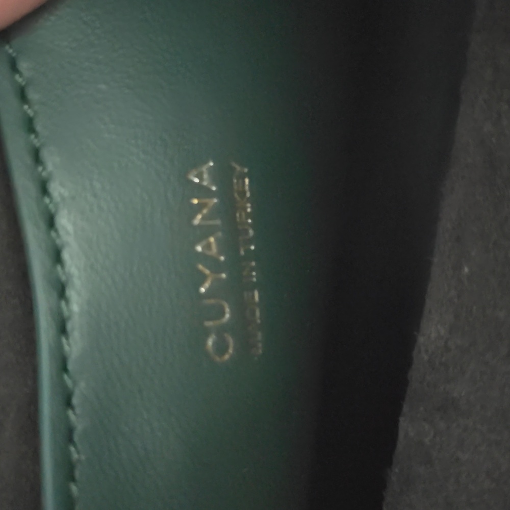 NWT Cuyana Mini Celestia Bag In Bottle Green - Picture 3 of 12